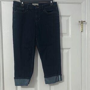 Banana Republic Blue Ankle Cropped Jeans
